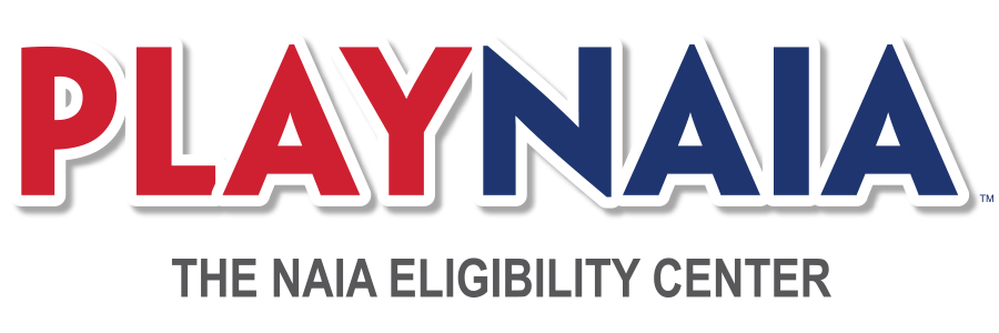 playnaia logo