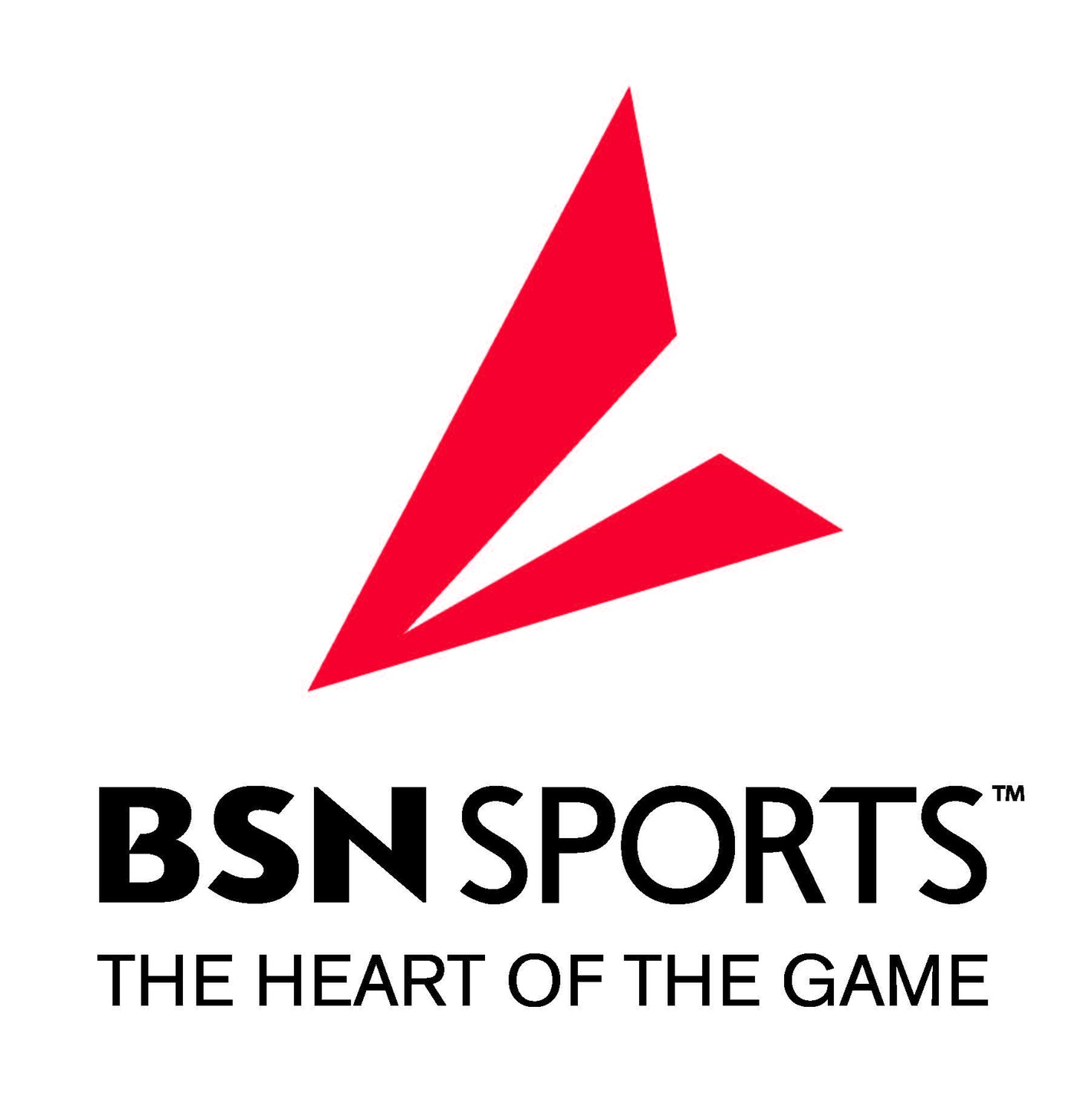 bsn sports logo