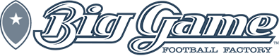 big game logo